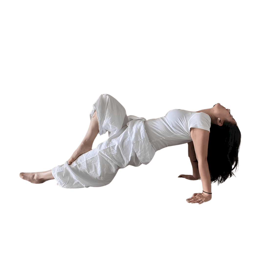 MERIT SOLARAH AUREONG