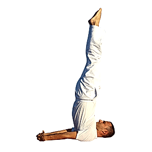 FUAT BERKAY DEMİRALP