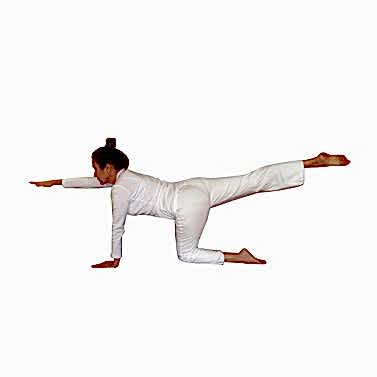 NUTANA NEŞE MALKOÇ